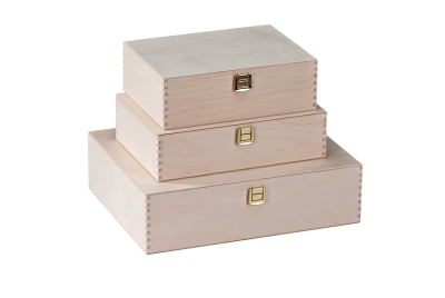 Standard gift box with hinged lid with closure from Scheffauer-Holzwaren